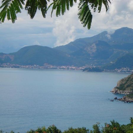 Boutique Home Saltaragazza Petrovac Exteriér fotografie