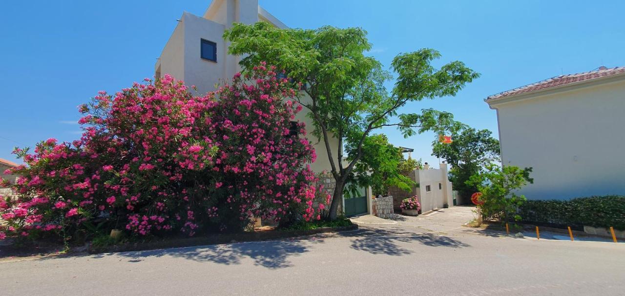 Boutique Home Saltaragazza Petrovac Exteriér fotografie