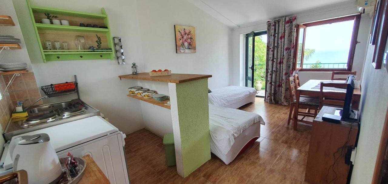 Boutique Home Saltaragazza Petrovac Exteriér fotografie