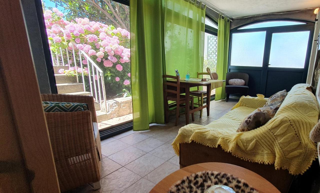 Boutique Home Saltaragazza Petrovac Exteriér fotografie