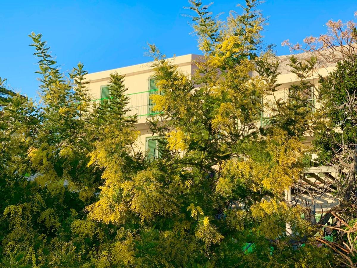 Boutique Home Saltaragazza Petrovac Exteriér fotografie