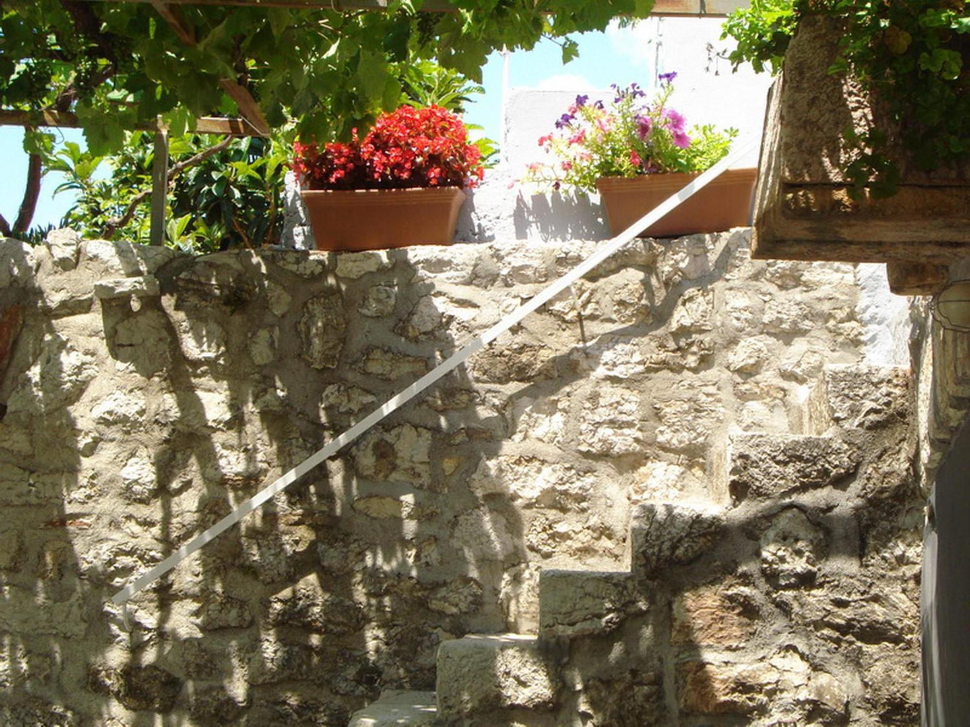 Boutique Home Saltaragazza Petrovac Exteriér fotografie
