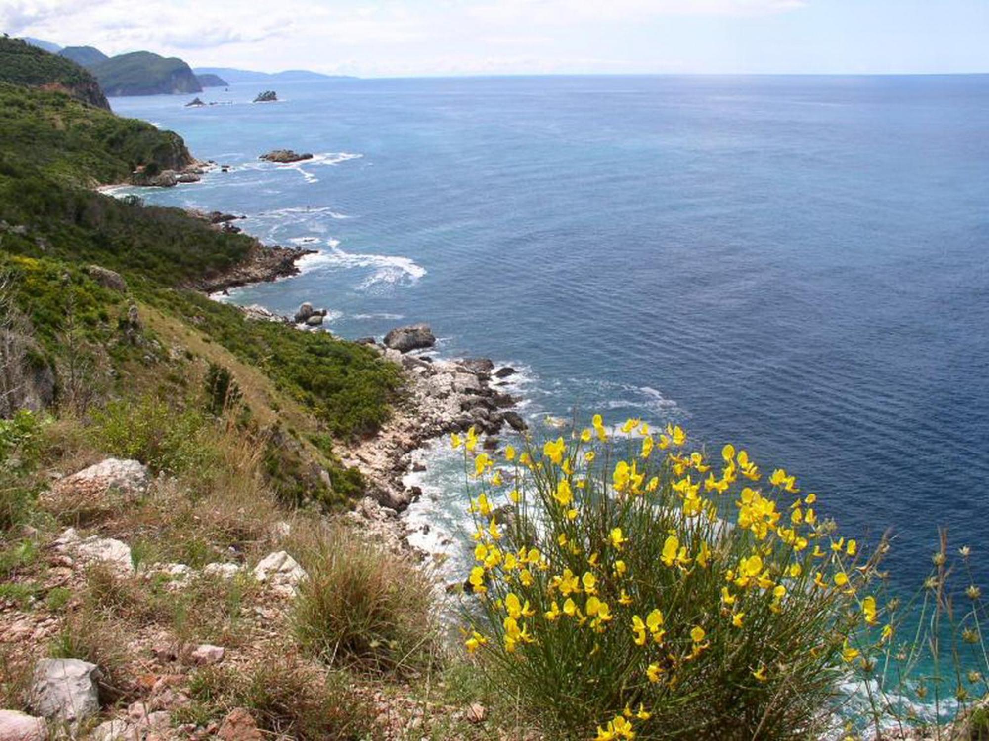 Boutique Home Saltaragazza Petrovac Exteriér fotografie