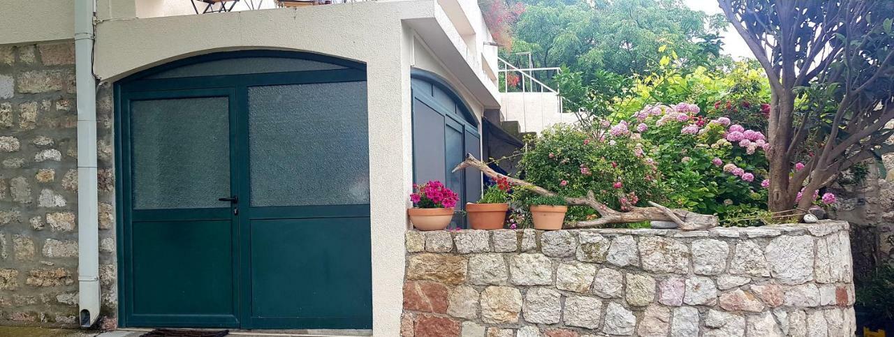 Boutique Home Saltaragazza Petrovac Exteriér fotografie