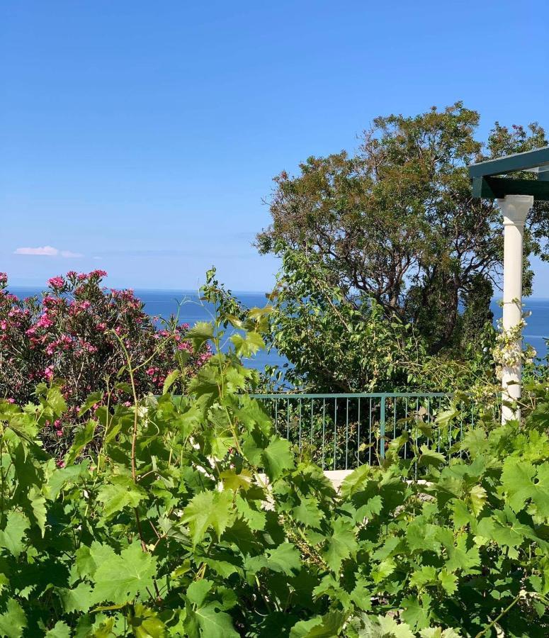 Boutique Home Saltaragazza Petrovac Exteriér fotografie